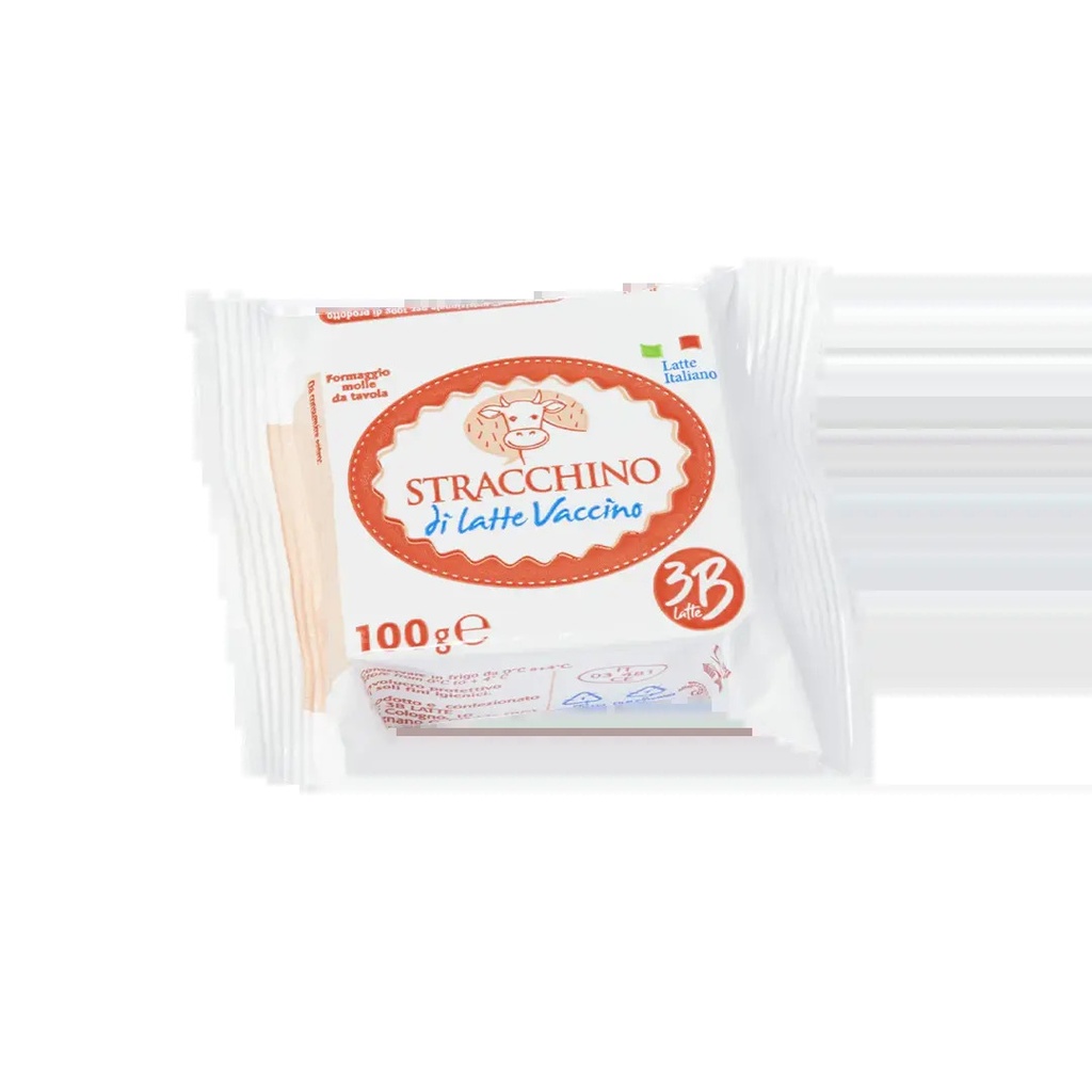 Stracchino 100g 
