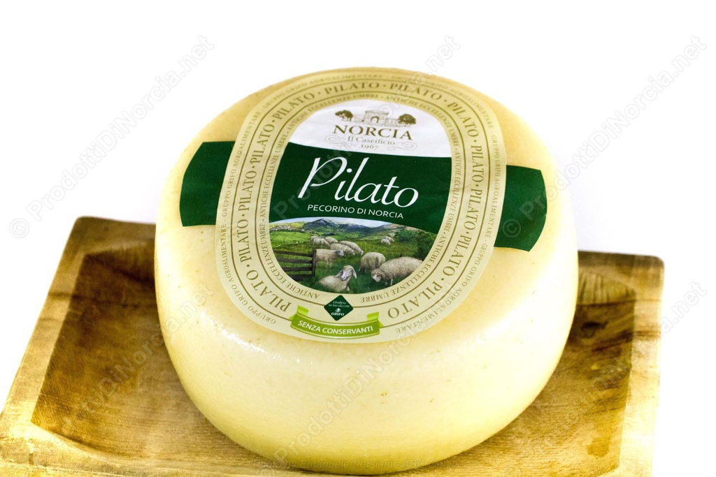 Grifo - Formaggio Pecorino Pilato di Norcia