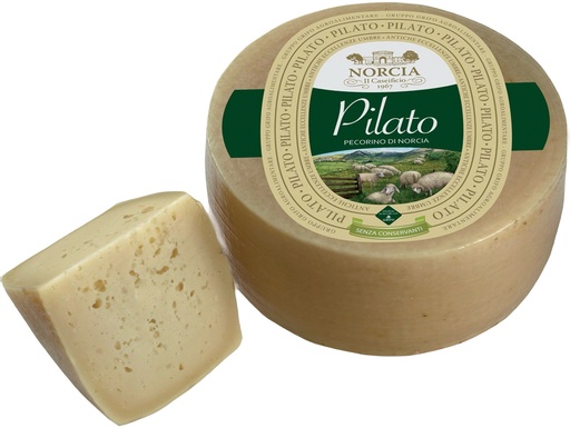 [264155] Grifo - Formaggio Pecorino Pilato di Norcia